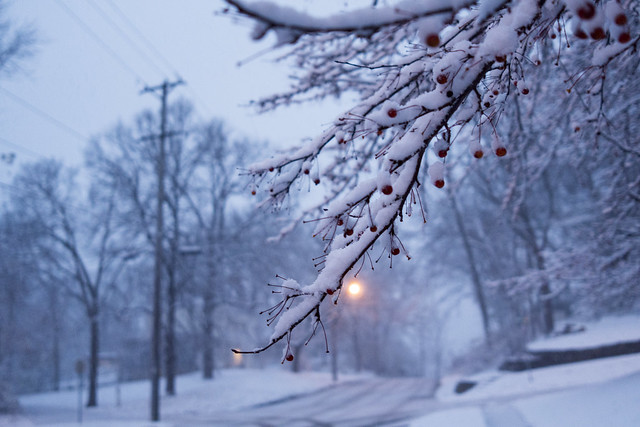 20 фотографій, які доводять, що немає нічого прекраснішого зими
