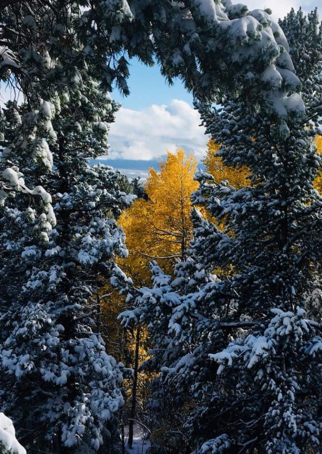 20 фотографій, які доводять, що немає нічого прекраснішого зими