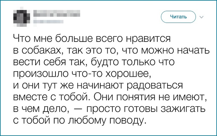 20 осіб і їх тварин, які просто створені для того, щоб бути однією командою