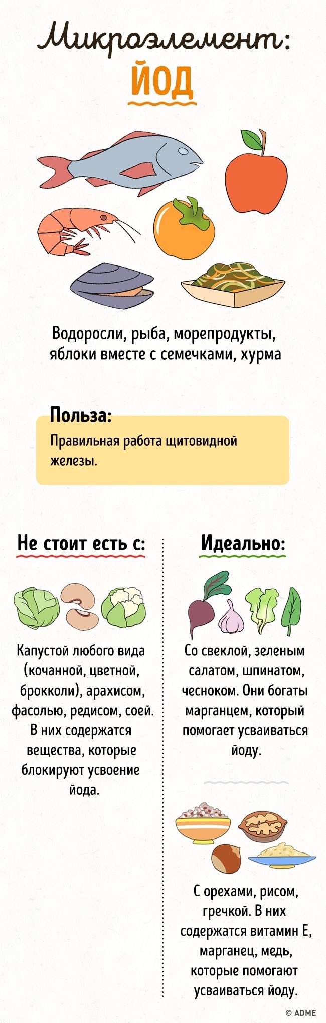 20+ продуктів, які не варто вживати разом