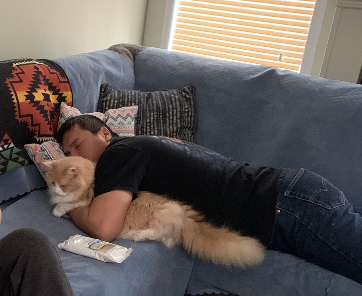 20 разів, коли чоловіки навідріз відмовлялися заводити тварин, а тепер жити без них не можуть