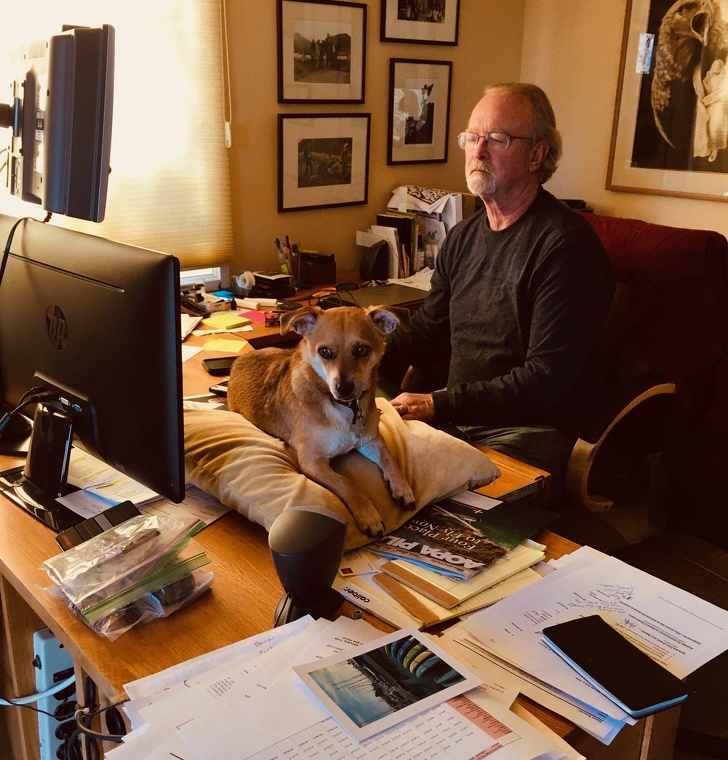 20 разів, коли чоловіки навідріз відмовлялися заводити тварин, а тепер жити без них не можуть