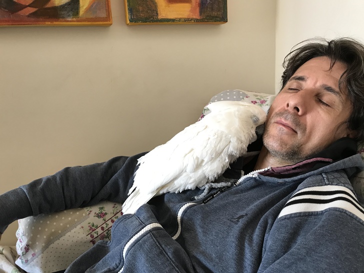 20 разів, коли чоловіки навідріз відмовлялися заводити тварин, а тепер жити без них не можуть