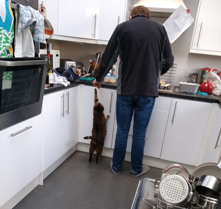 20 разів, коли чоловіки навідріз відмовлялися заводити тварин, а тепер жити без них не можуть