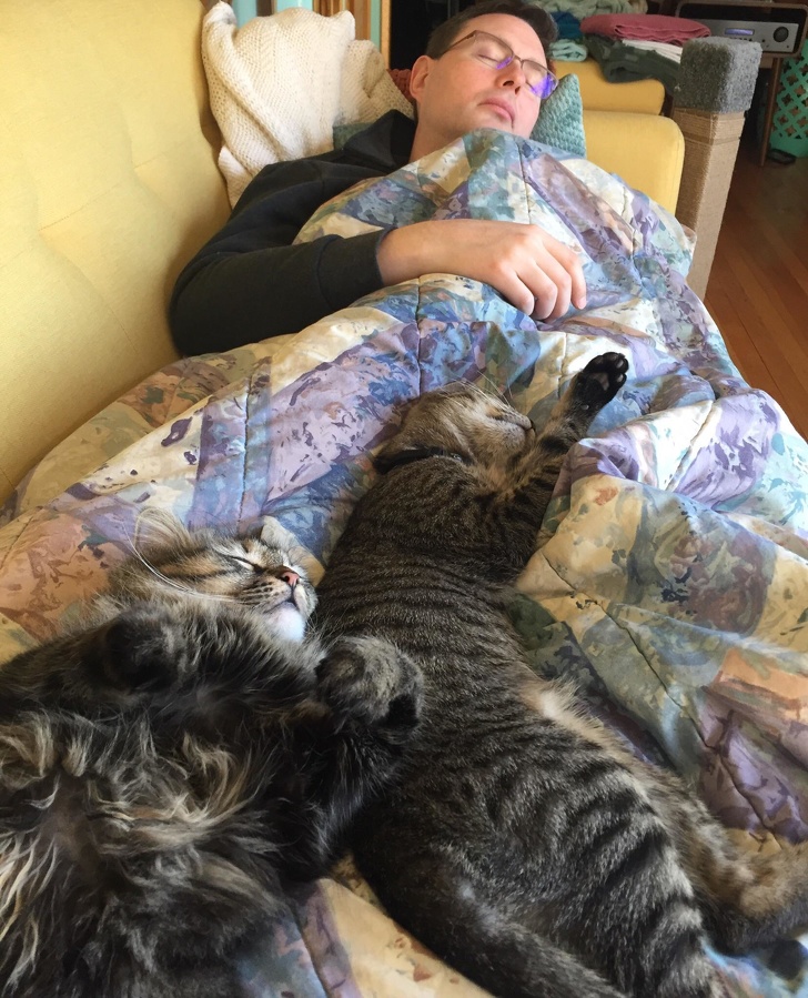 20 разів, коли чоловіки навідріз відмовлялися заводити тварин, а тепер жити без них не можуть