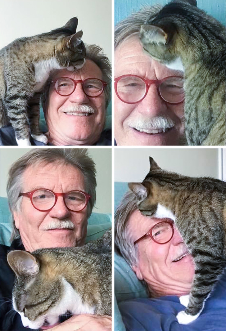 20 разів, коли чоловіки навідріз відмовлялися заводити тварин, а тепер жити без них не можуть