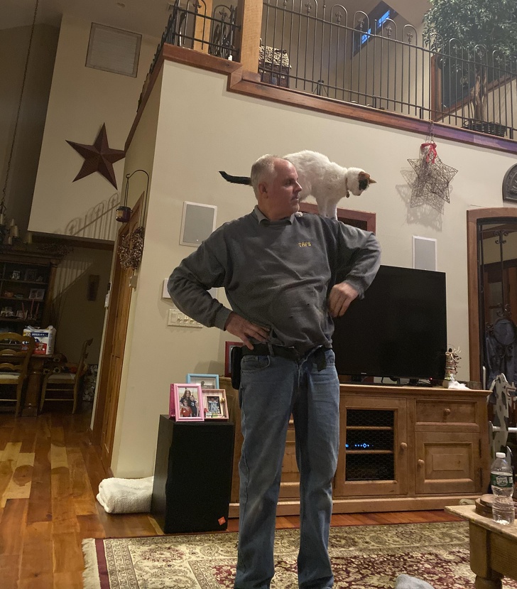 20 разів, коли чоловіки навідріз відмовлялися заводити тварин, а тепер жити без них не можуть