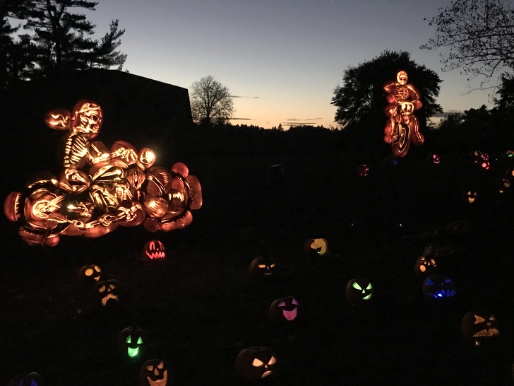20+ разу, коли з гарбуза на Хелловін зробили справжній шедевр, і здається, без магії тут не обійшлося