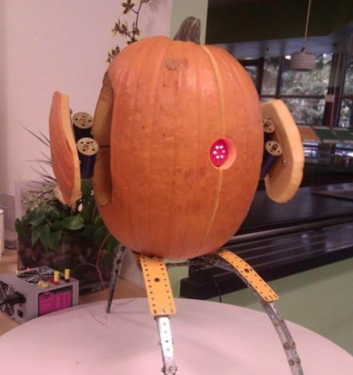 20+ разу, коли з гарбуза на Хелловін зробили справжній шедевр, і здається, без магії тут не обійшлося