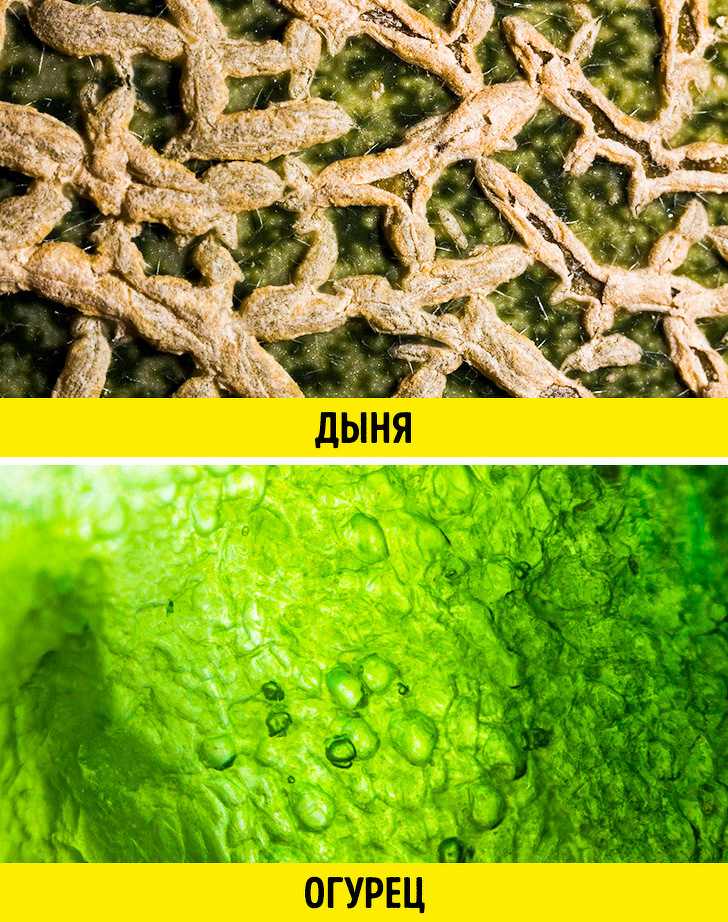 20+ речей, різницю між якими не помітити неозброєним оком