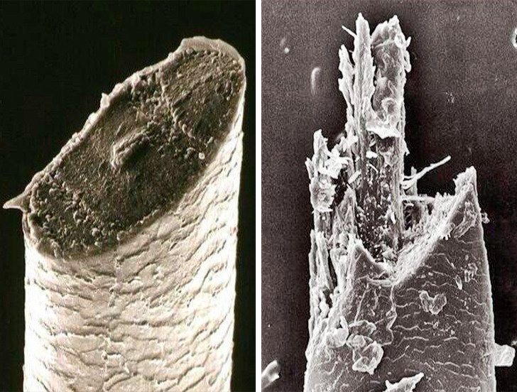 20+ речей, різницю між якими не помітити неозброєним оком