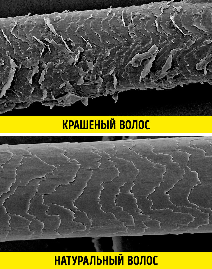 20+ речей, різницю між якими не помітити неозброєним оком