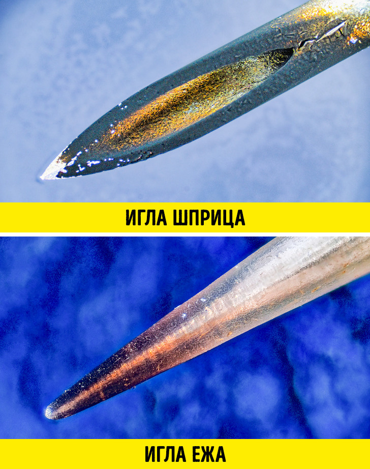 20+ речей, різницю між якими не помітити неозброєним оком