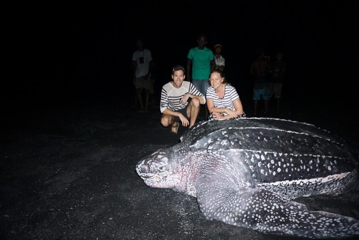20+ речей, розміри яких опинилися набагато більше, ніж ми звикли думати