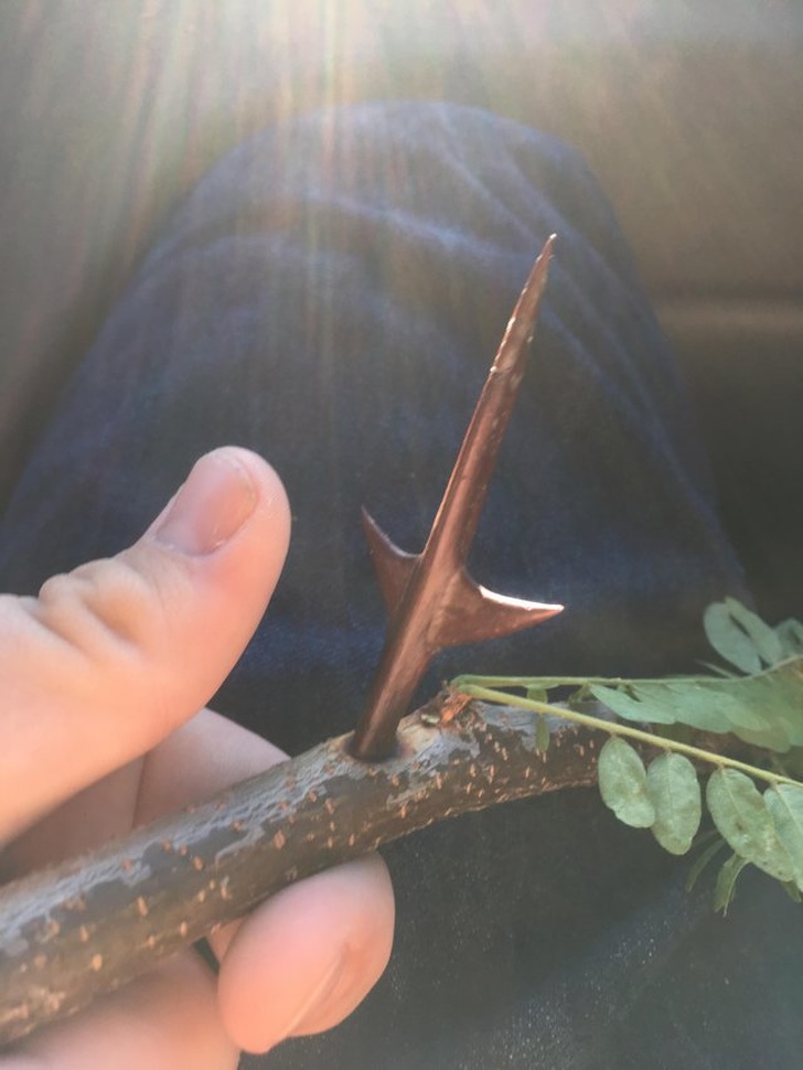 20+ речей, розміри яких опинилися набагато більше, ніж ми звикли думати