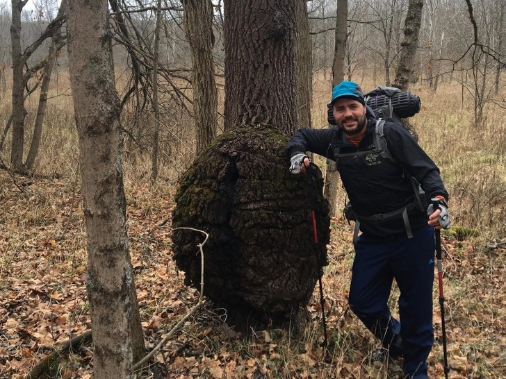 20+ речей, розміри яких опинилися набагато більше, ніж ми звикли думати