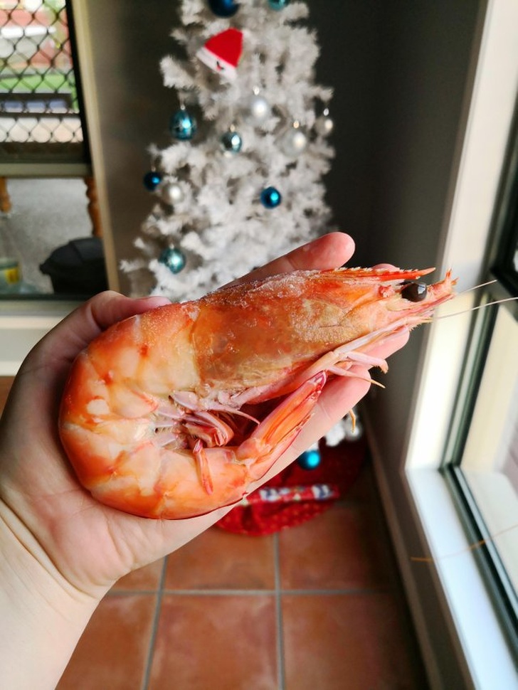 20+ речей, розміри яких опинилися набагато більше, ніж ми звикли думати