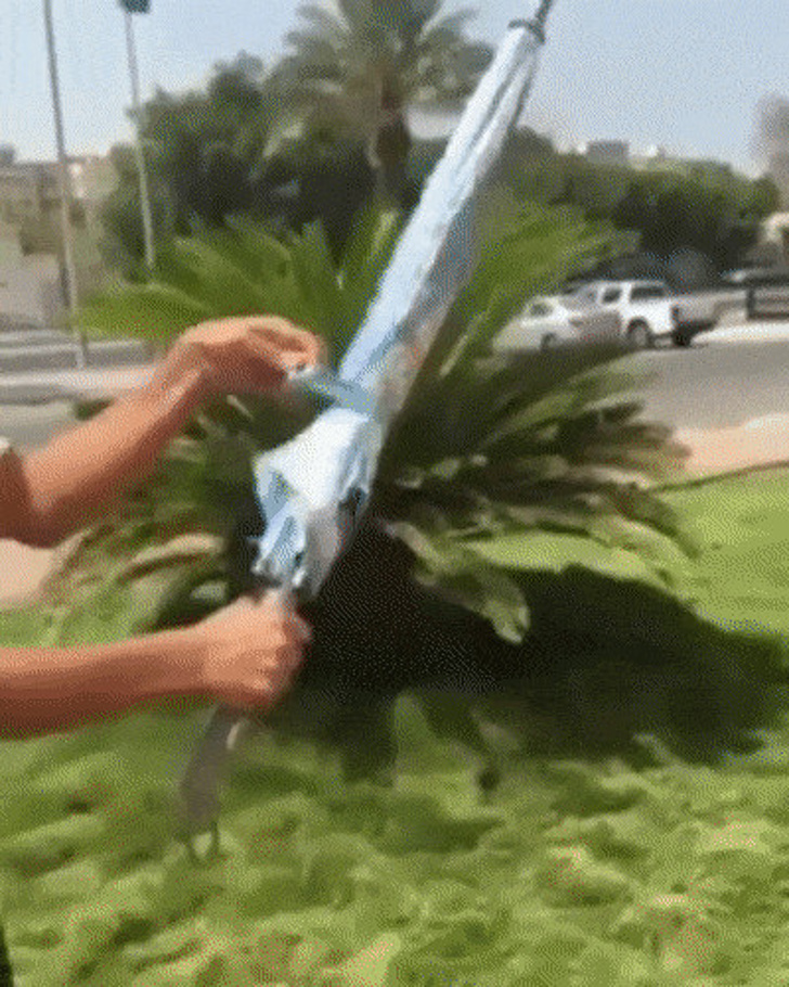 20+ речей від людей, яких природа щедро обдарувала творчою жилкою