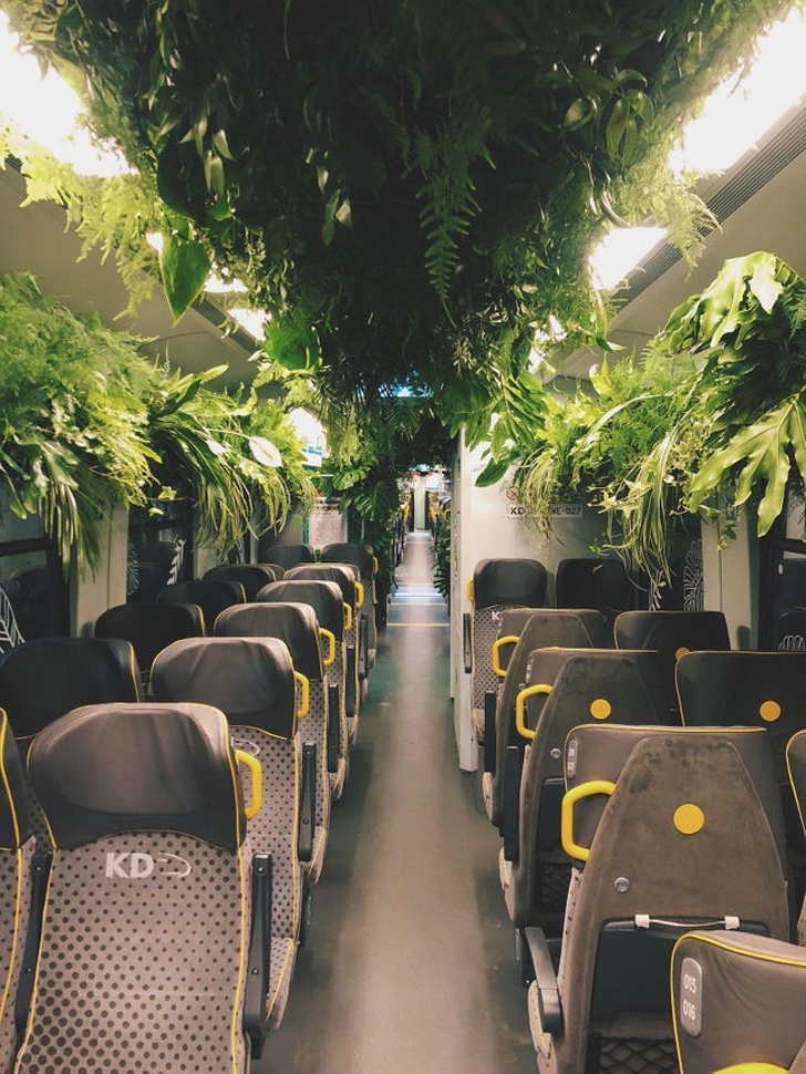 20+ речей, які повинні з’явитися в кожному місті