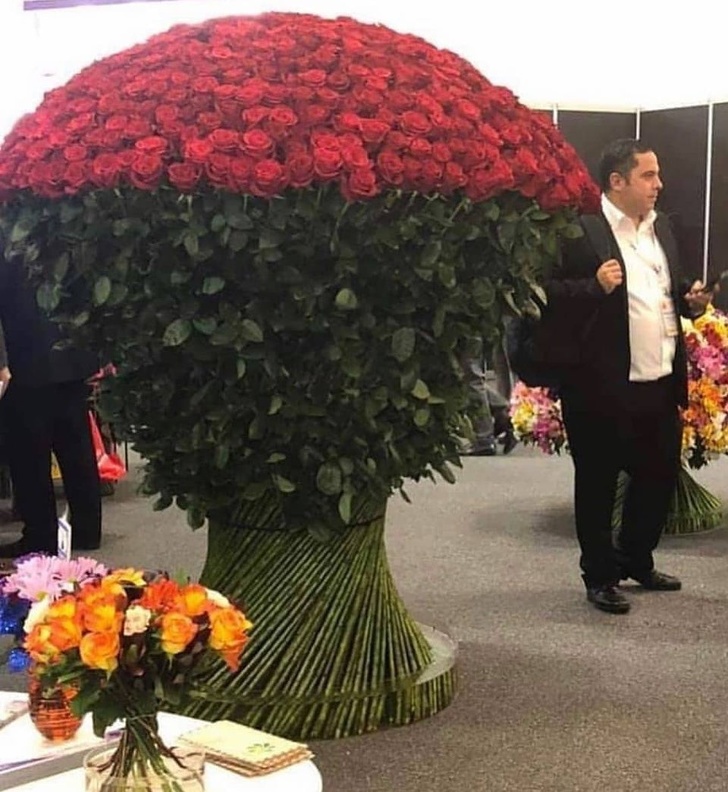 20+ речей, які сміливо можна назвати непристойно величезними