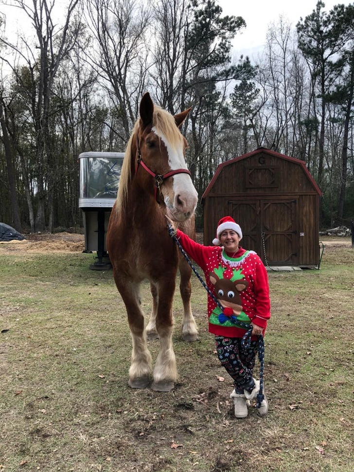 20+ речей, які сміливо можна назвати непристойно величезними