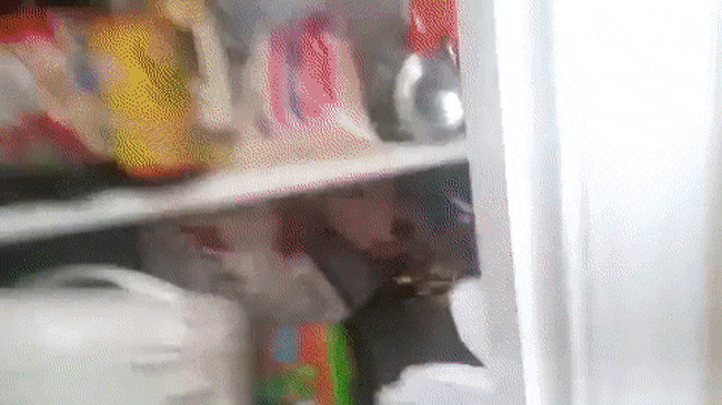 20 речей, які трапляться з кожним, хто заведе собі собаку