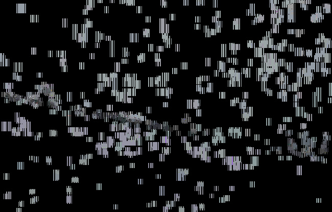 20 речей, які трапляться з кожним, хто заведе собі собаку