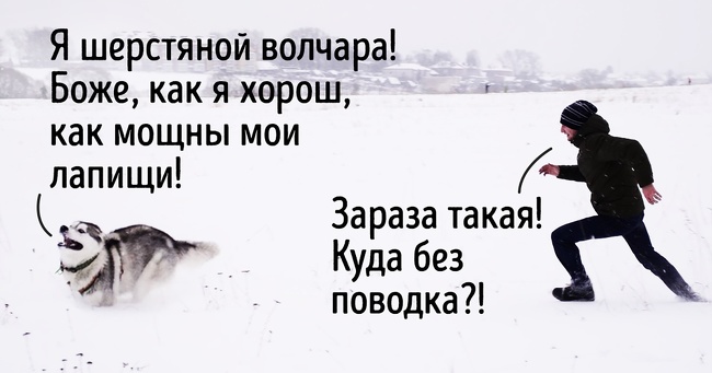 20 речей, які трапляться з кожним, хто заведе собі собаку