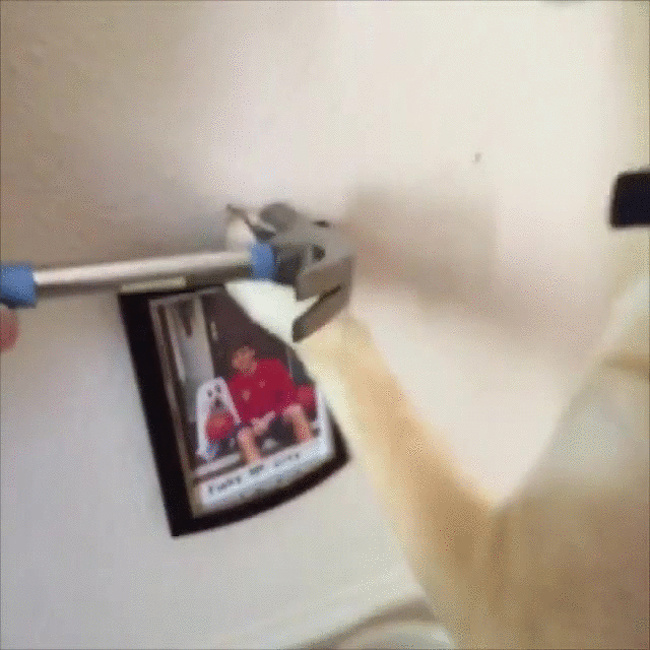 20 речей, які трапляться з кожним, хто заведе собі собаку