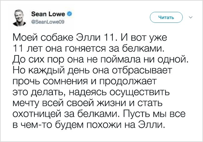 20 речей, які трапляться з кожним, хто заведе собі собаку