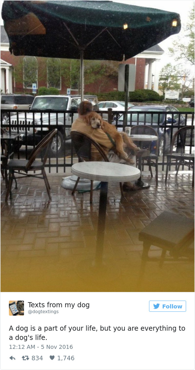 20 речей, які трапляться з кожним, хто заведе собі собаку