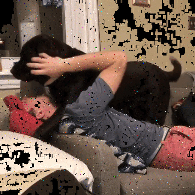 20 речей, які трапляться з кожним, хто заведе собі собаку