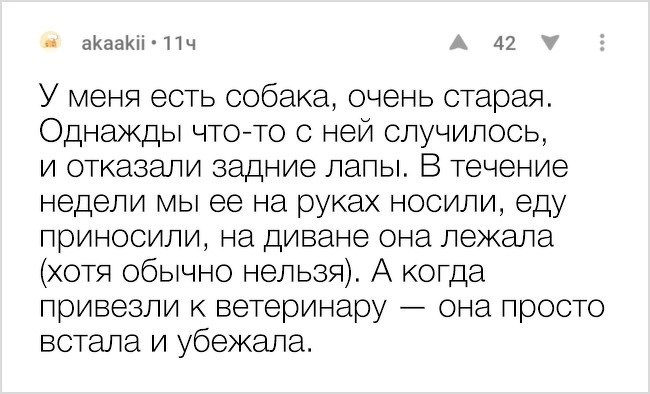 20 речей, які трапляться з кожним, хто заведе собі собаку