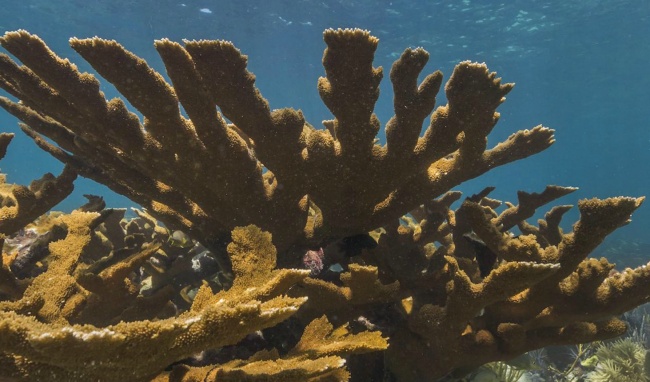 20 сайтів, де можна розслабитися і зібратися з думками