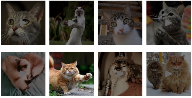 20 сайтів, де можна розслабитися і зібратися з думками