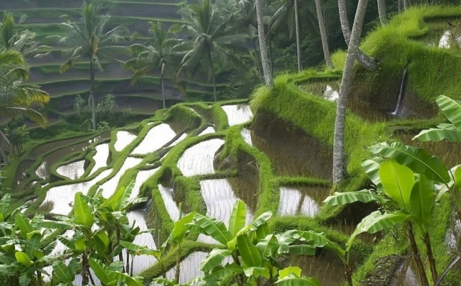 20 сайтів, де можна розслабитися і зібратися з думками