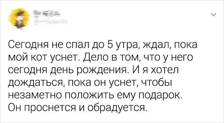 20+ ситуацій, які показують, що це кішки заводять нас, а не ми їх
