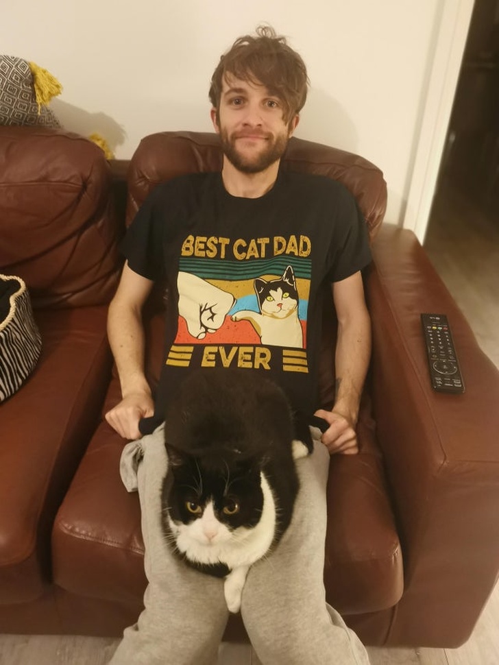 20+ ситуацій, які показують, що це кішки заводять нас, а не ми їх