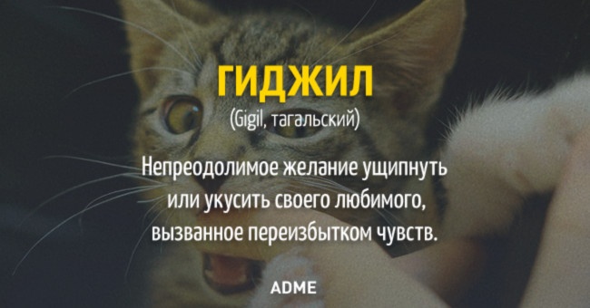 20 слів, яких немає в російській мові