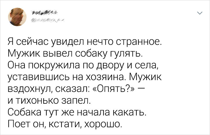 20+ собак, у яких злетіли стандартні налаштування