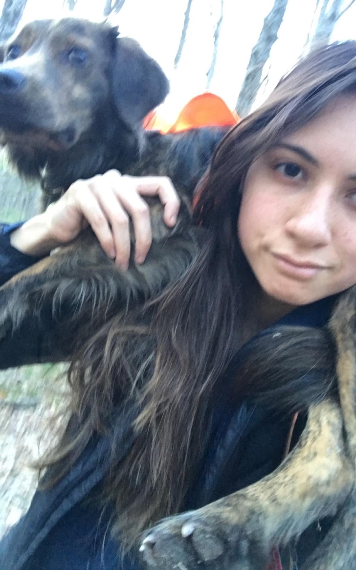 20+ собак, у яких злетіли стандартні налаштування