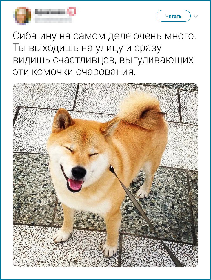 20+ твітів про те, що європейцеві японця не зрозуміти. Але можна спробувати