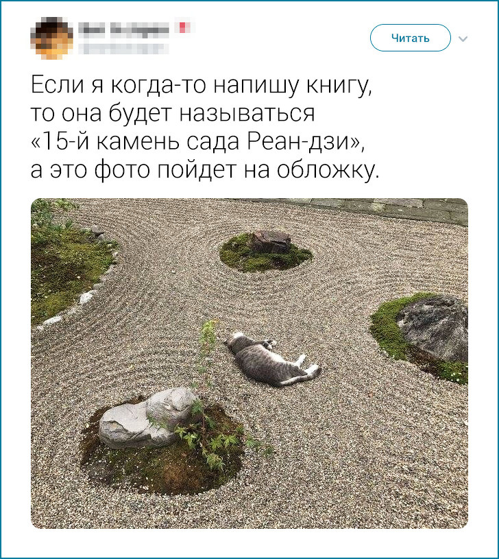 20+ твітів про те, що європейцеві японця не зрозуміти. Але можна спробувати