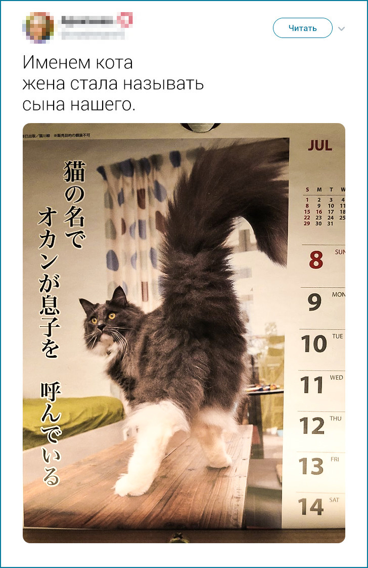 20+ твітів про те, що європейцеві японця не зрозуміти. Але можна спробувати