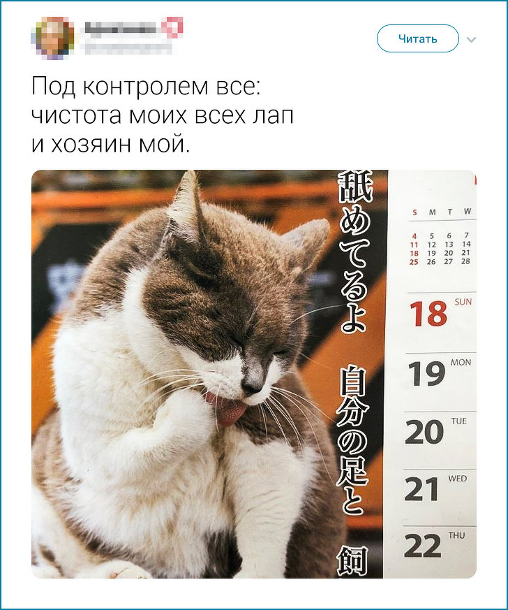 20+ твітів про те, що європейцеві японця не зрозуміти. Але можна спробувати