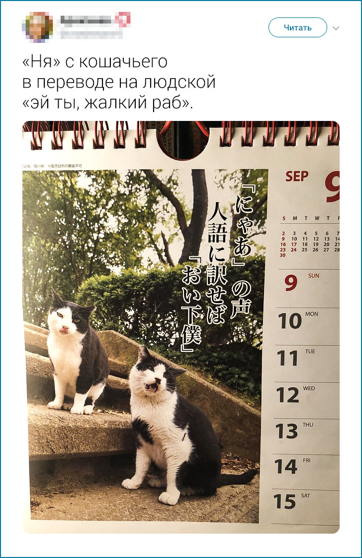 20+ твітів про те, що європейцеві японця не зрозуміти. Але можна спробувати