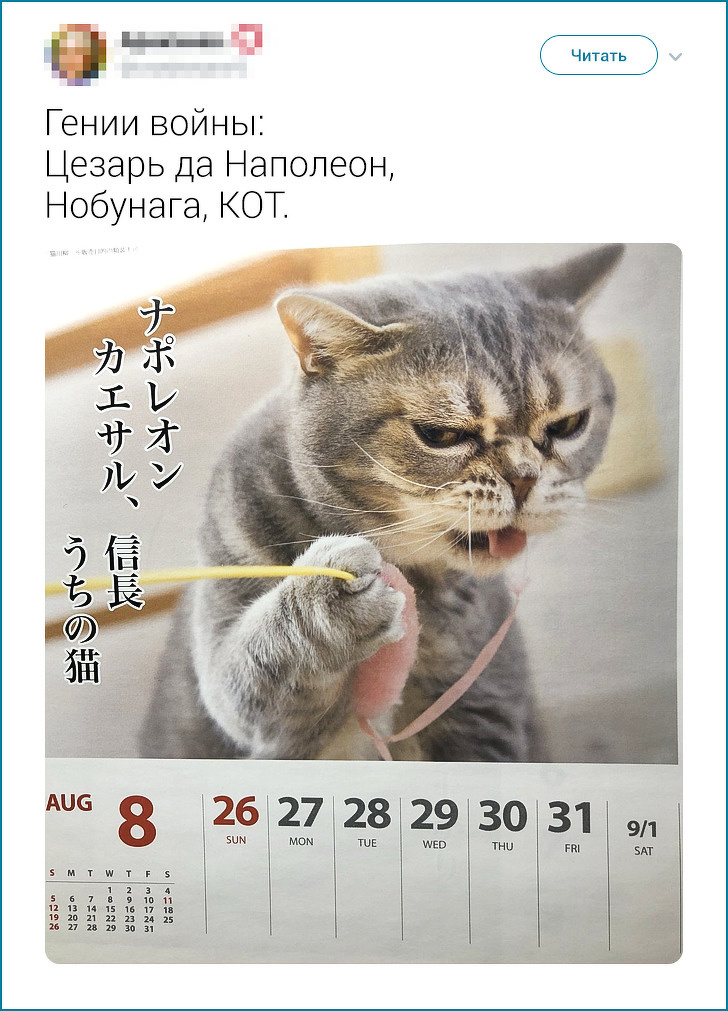 20+ твітів про те, що європейцеві японця не зрозуміти. Але можна спробувати