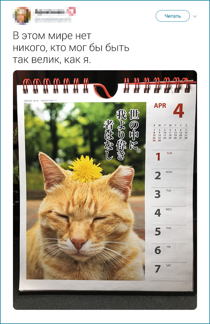 20+ твітів про те, що європейцеві японця не зрозуміти. Але можна спробувати