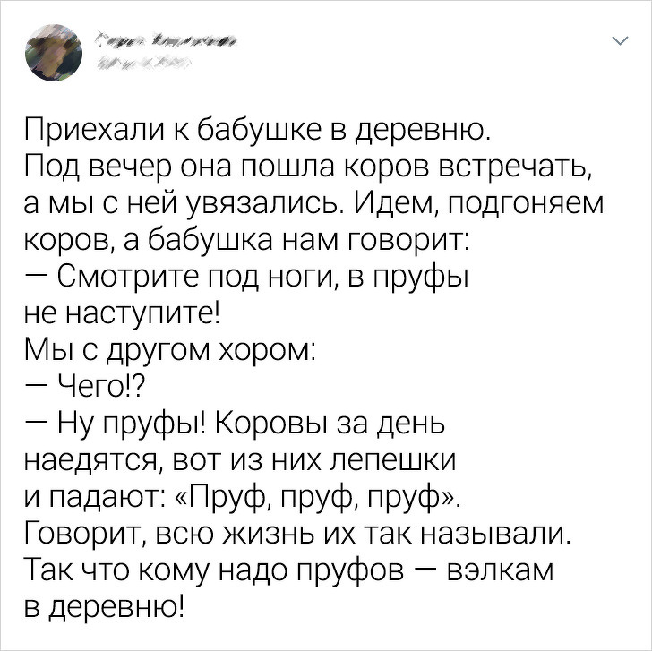 20 твітів, які крутіше будь-якого підручника пояснять всю суть російської мови