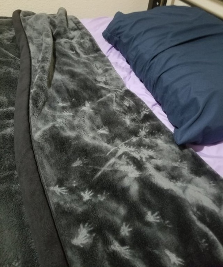 20+ тварин, чия непередбачуваність здивувала навіть їх самих